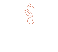 Theava Collection